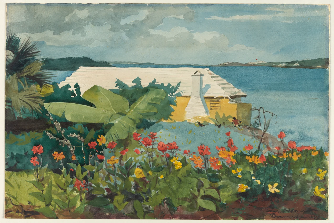 Homer’s Bermuda garden, with a white bungalow behind bright flowers and green foliage.